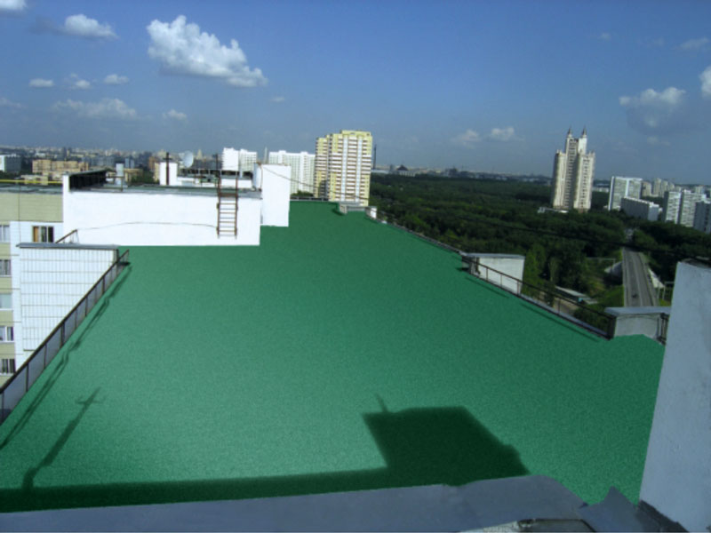 roof-01-ureaflex-02r