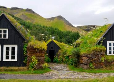 Зеленая крыша