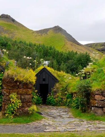 Зеленая крыша